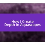 How I Create Depth in Aquascapes