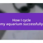 How I cycle my aquarium successfully