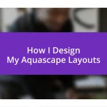 How I Design My Aquascape Layouts