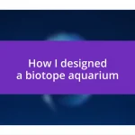 How I designed a biotope aquarium