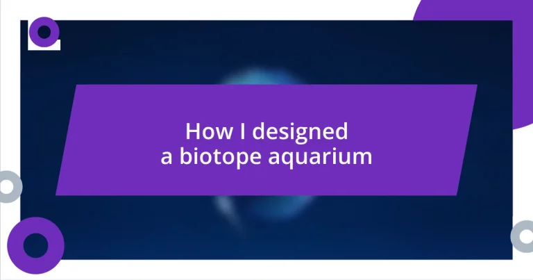 How I designed a biotope aquarium