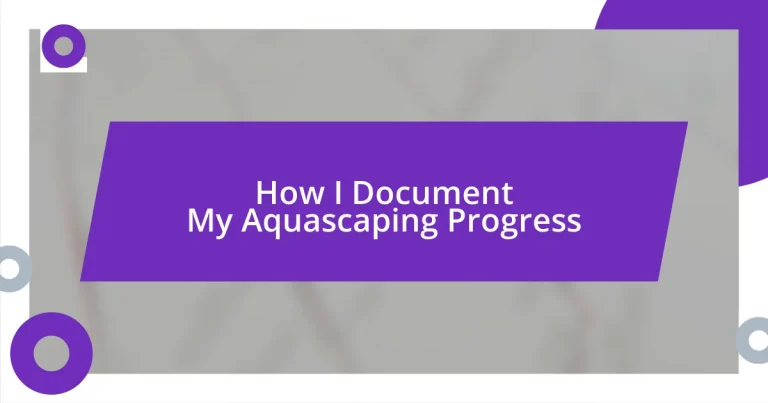 How I Document My Aquascaping Progress