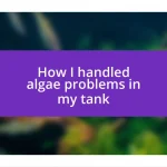 How I handled algae problems in my tank