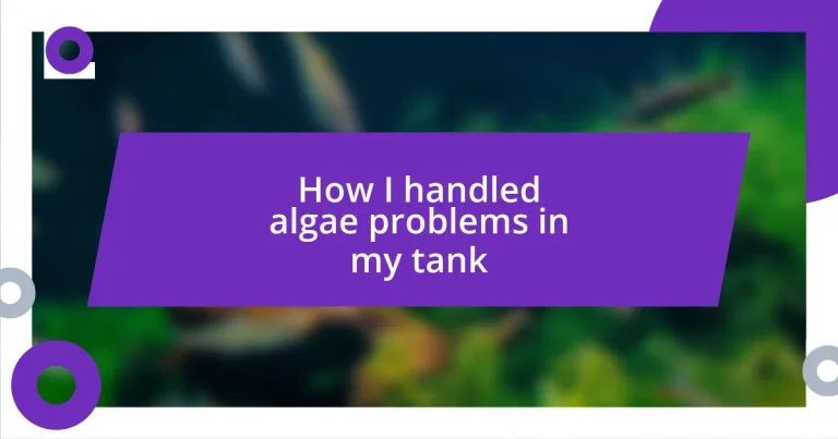 How I handled algae problems in my tank