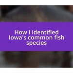 How I identified Iowa’s common fish species