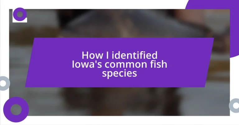 How I identified Iowa’s common fish species