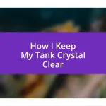 How I Keep My Tank Crystal Clear