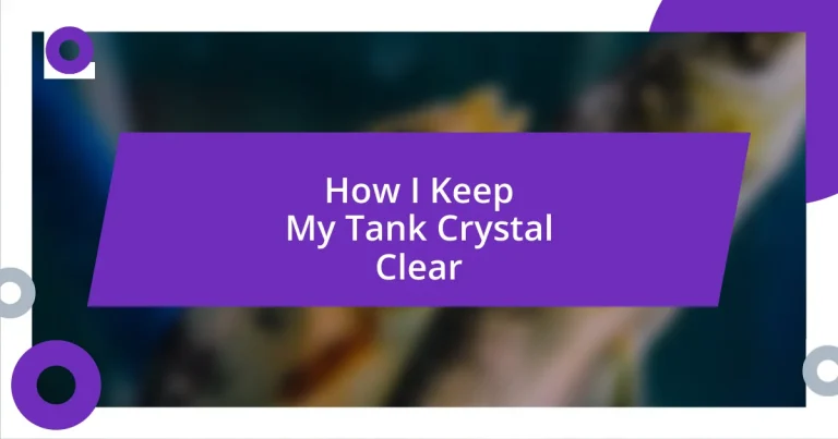 How I Keep My Tank Crystal Clear