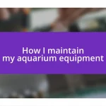 How I maintain my aquarium equipment