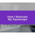 How I Maintain My Aquascape