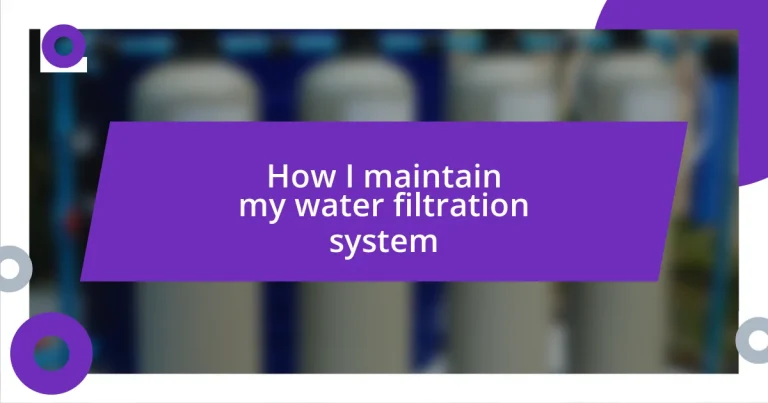 How I maintain my water filtration system