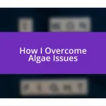 How I Overcome Algae Issues