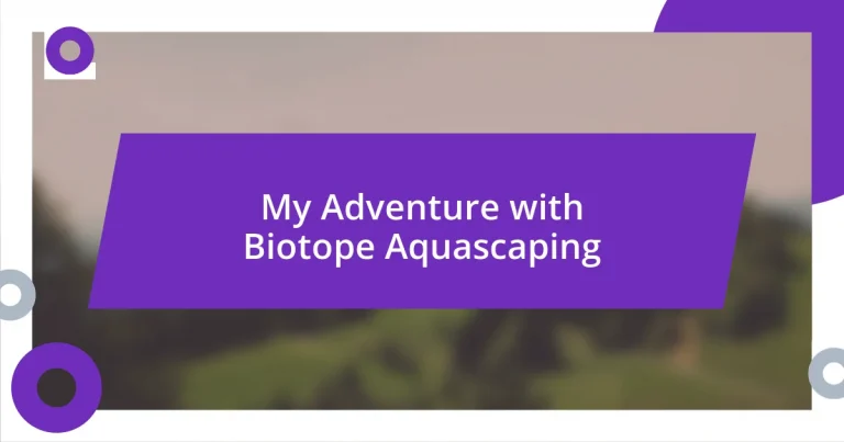 My Adventure with Biotope Aquascaping