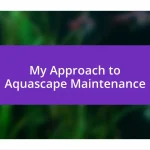 My Approach to Aquascape Maintenance