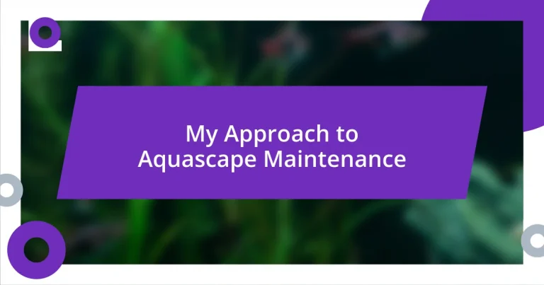 My Approach to Aquascape Maintenance