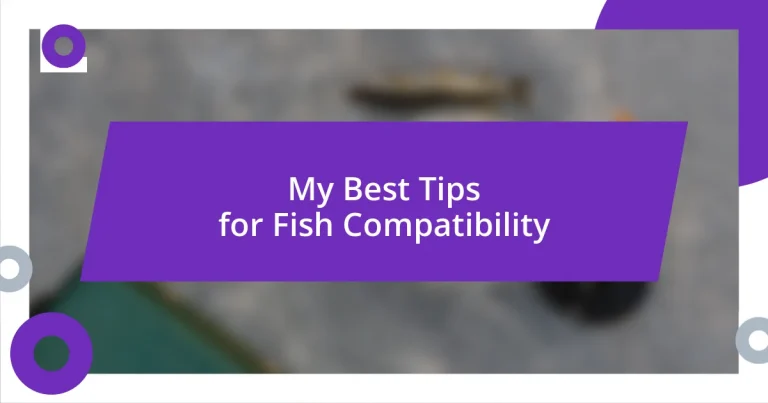 My Best Tips for Fish Compatibility