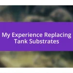 My Experience Replacing Tank Substrates