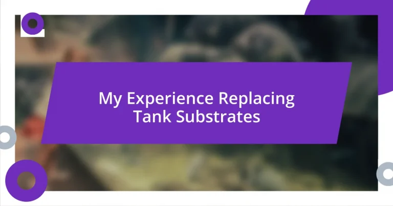 My Experience Replacing Tank Substrates