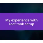 My experience with reef tank setup