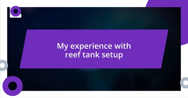 My experience with reef tank setup