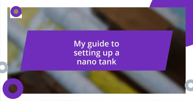 My guide to setting up a nano tank