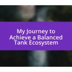 My Journey to Achieve a Balanced Tank Ecosystem