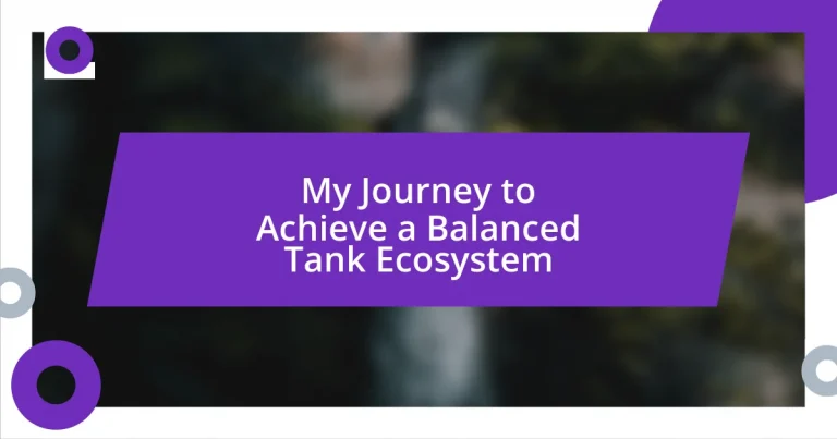 My Journey to Achieve a Balanced Tank Ecosystem