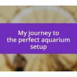 My journey to the perfect aquarium setup