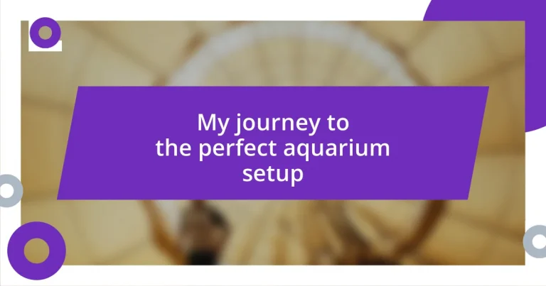 My journey to the perfect aquarium setup