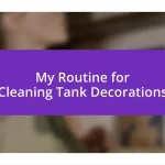 My Routine for Cleaning Tank Decorations