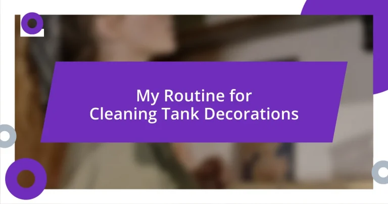 My Routine for Cleaning Tank Decorations