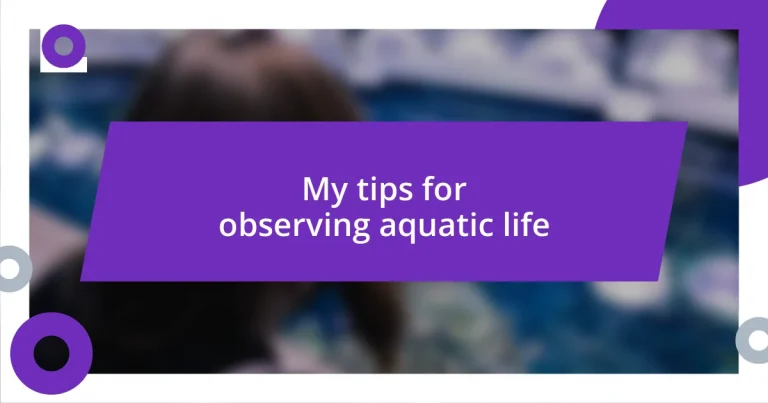 My tips for observing aquatic life