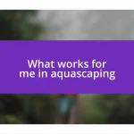 What works for me in aquascaping