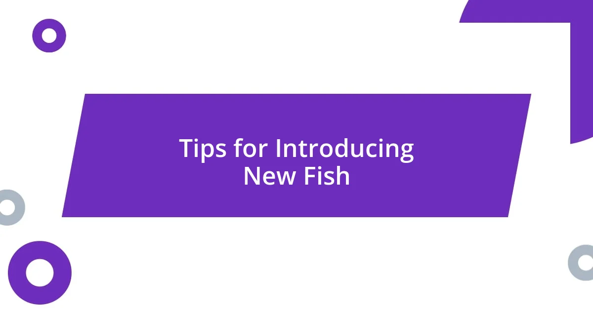 Tips for Introducing New Fish